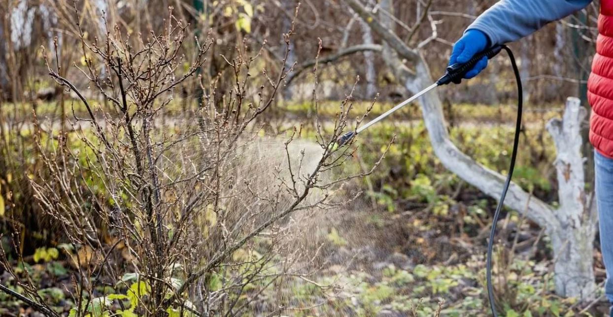 опрыскивание