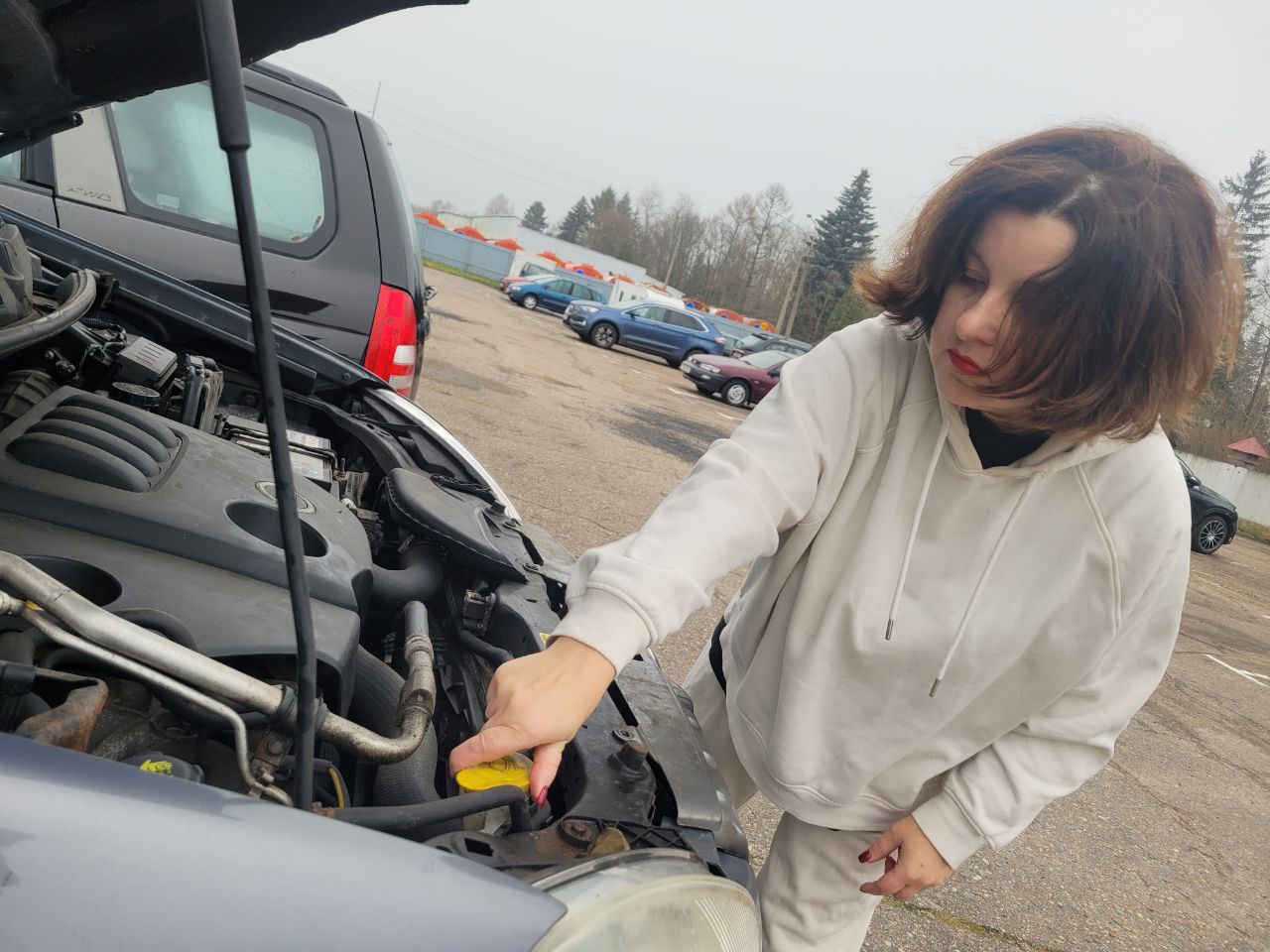 под капотом.jpg