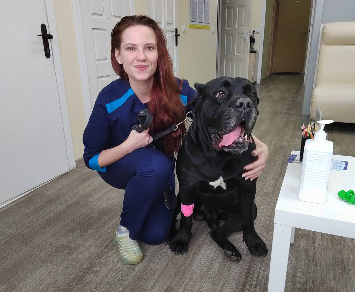 Анастасия Кондратович альфавет