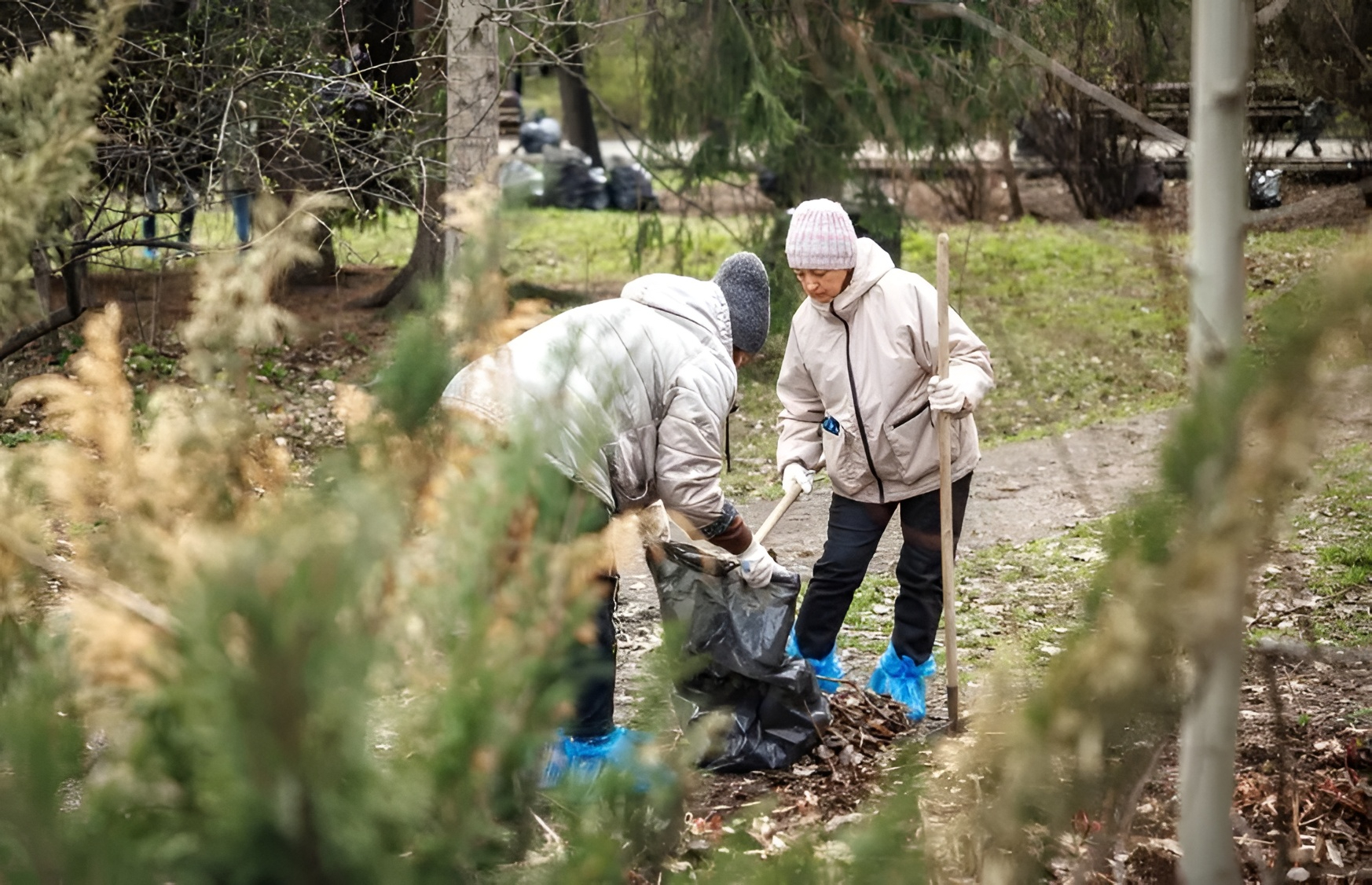 69a56a225b540093162128_1000x563 (1).jpg