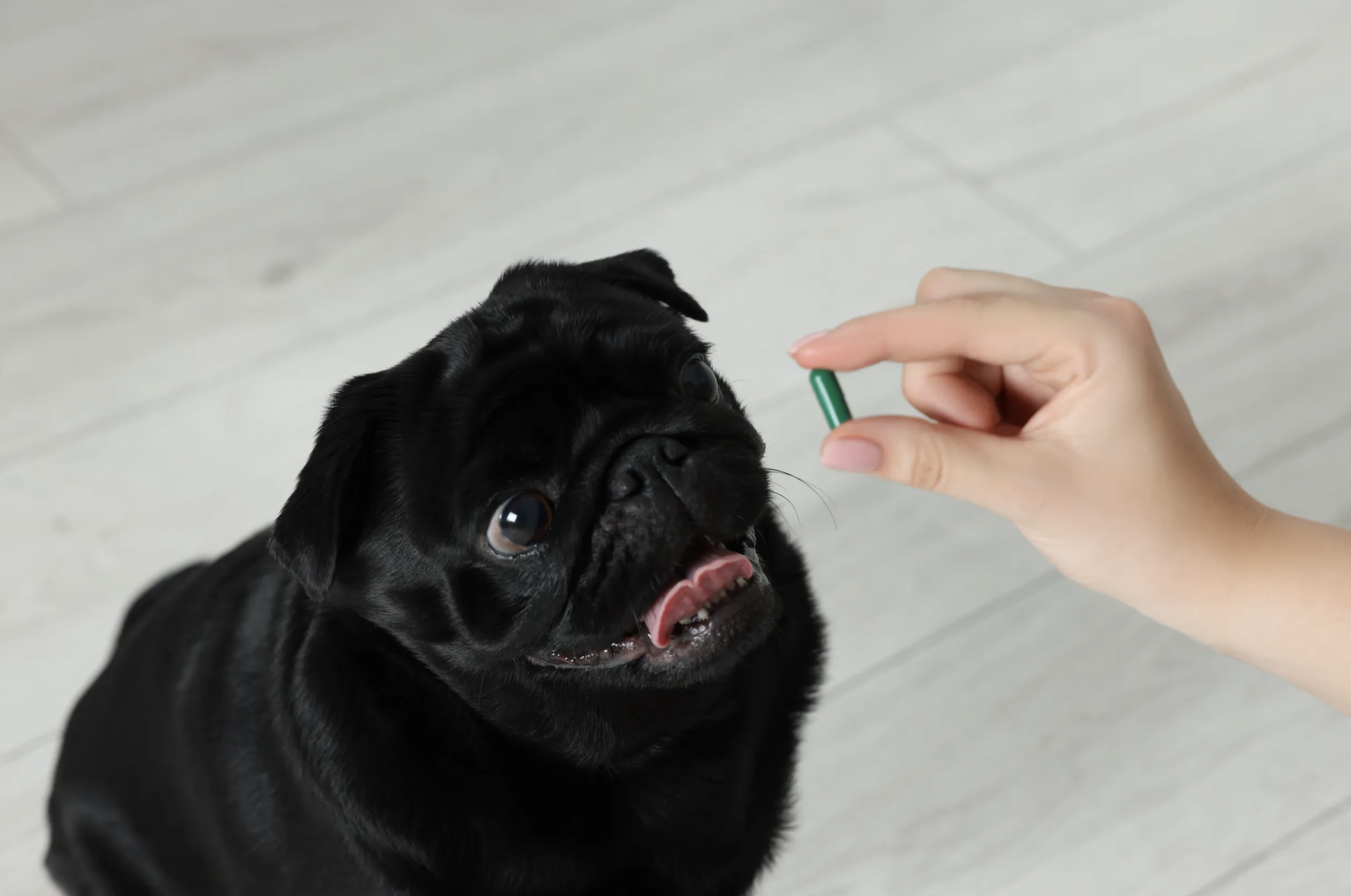 Протестировать препарат лучше до поездки в клинику