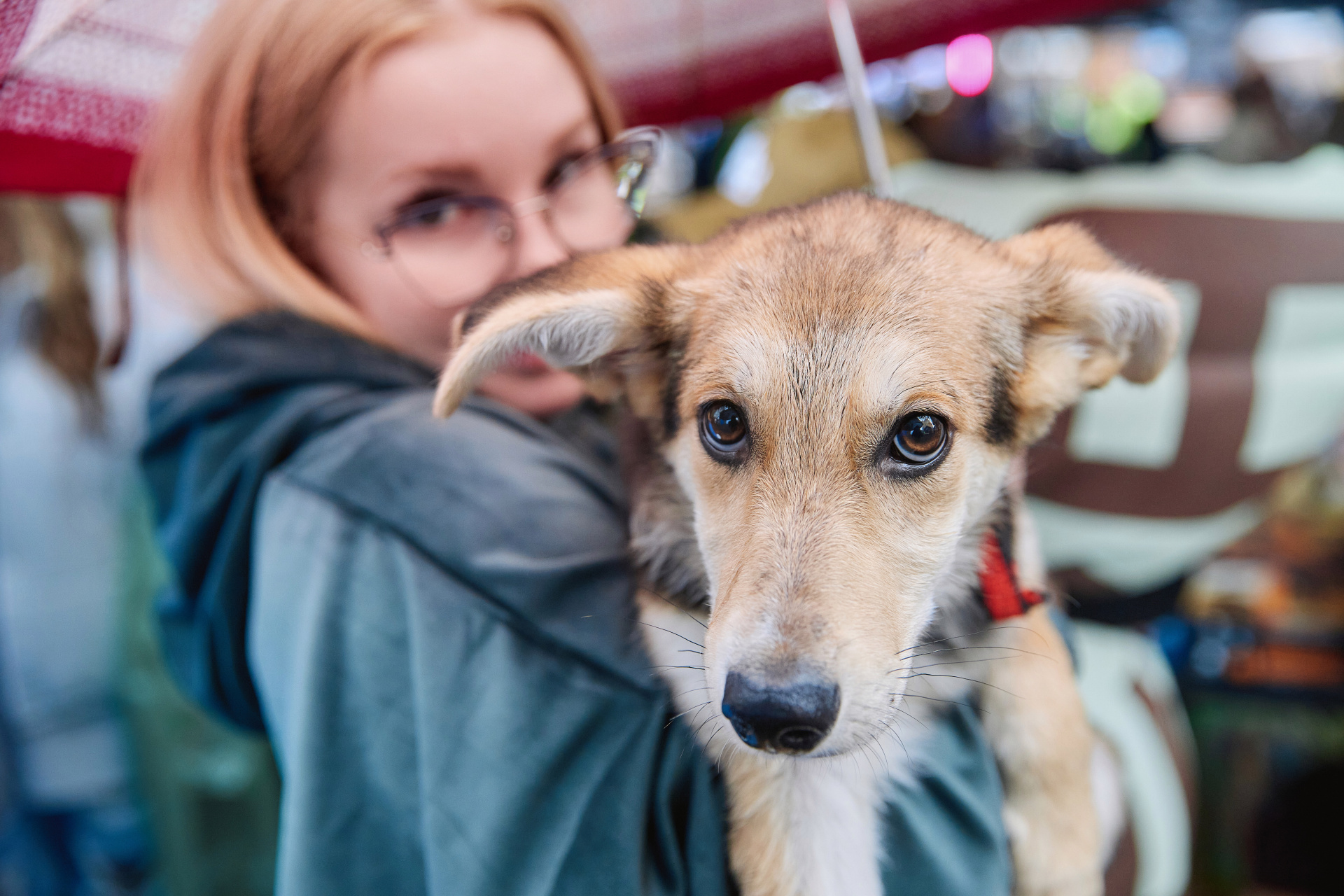 Акция Дорога домой.JPG