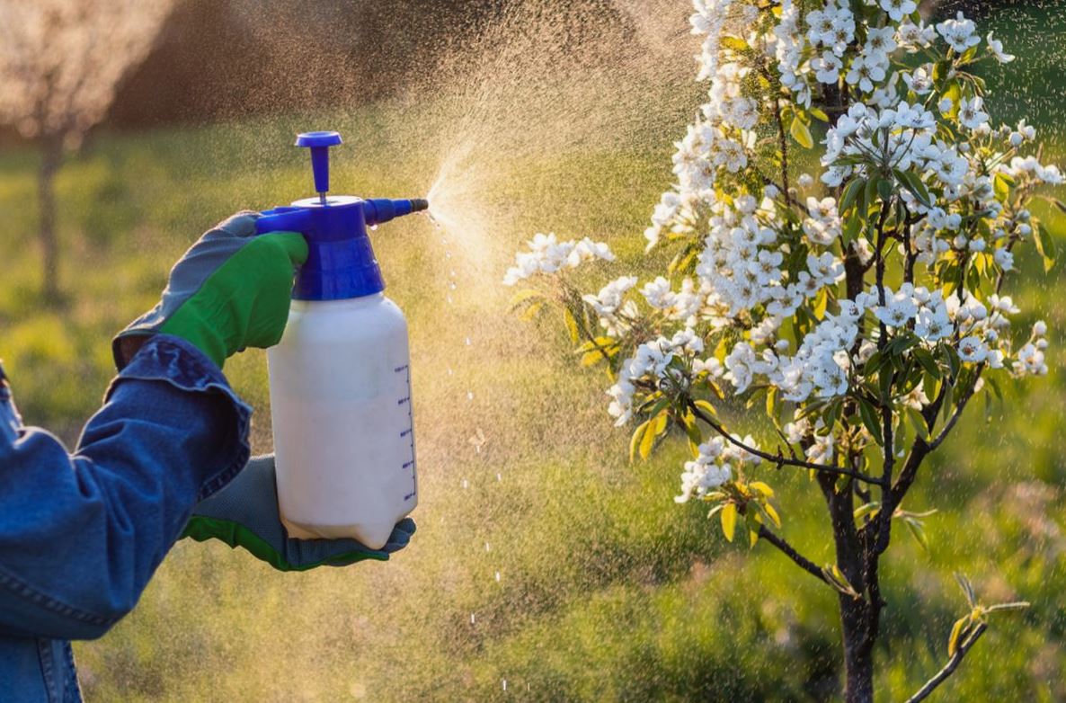 обработка сада