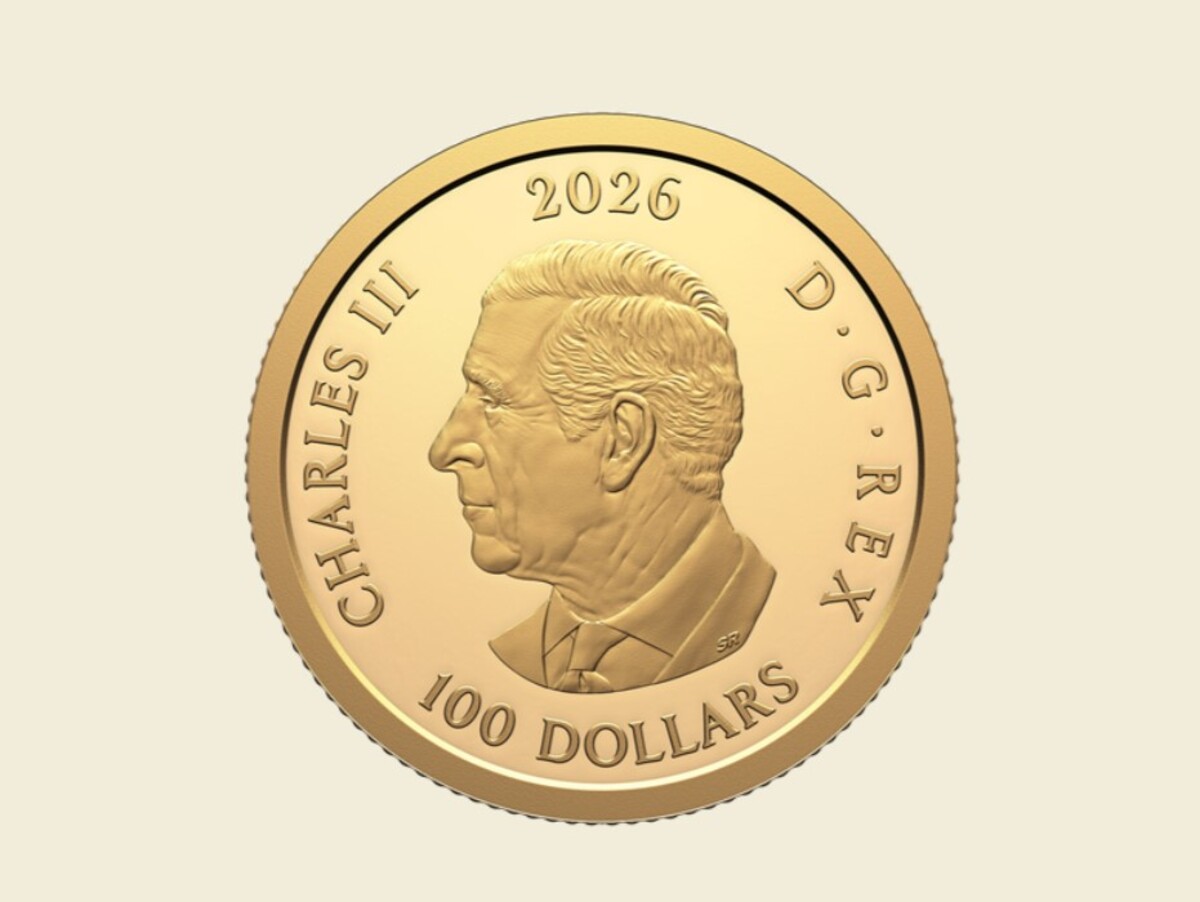 100 канадских долларов