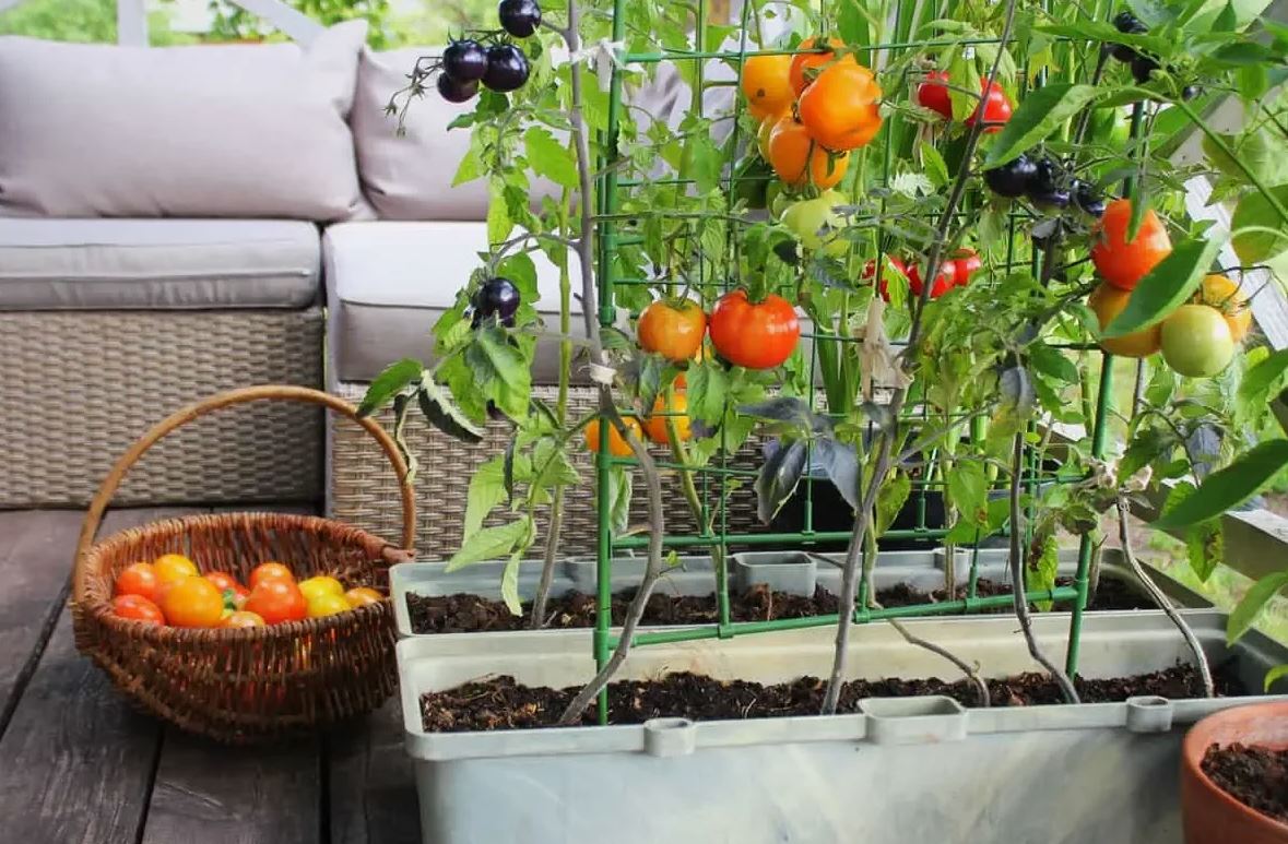 photo_2026-03-20_14-29-02 (3).jpg