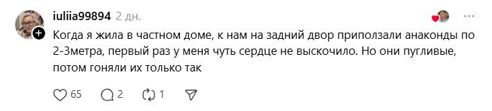 приползли анаконды.jpg