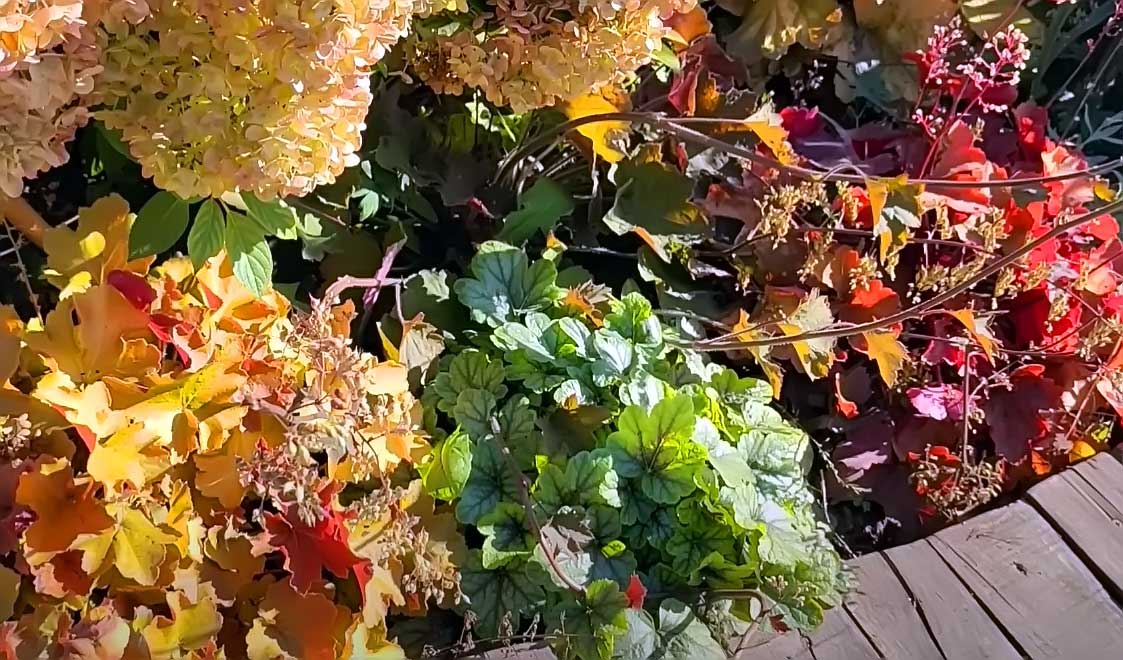 работа на участке осенью