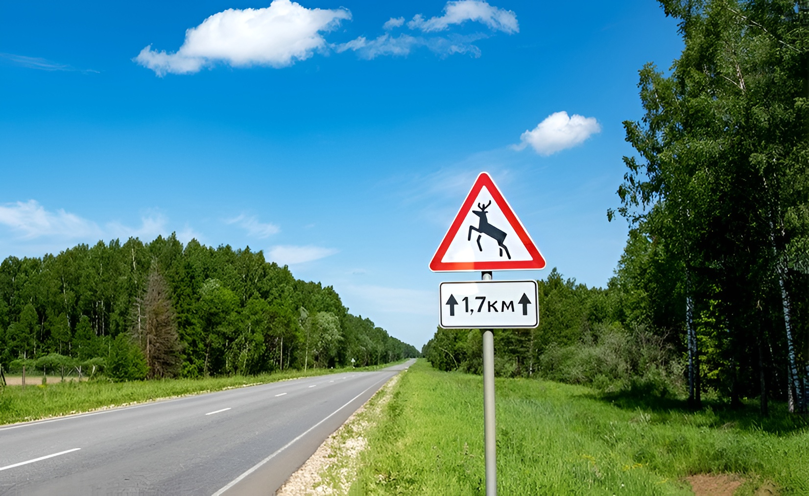 xlukj2ur0ghzpvjaqes3r0jgda3usfsx (1).jpg