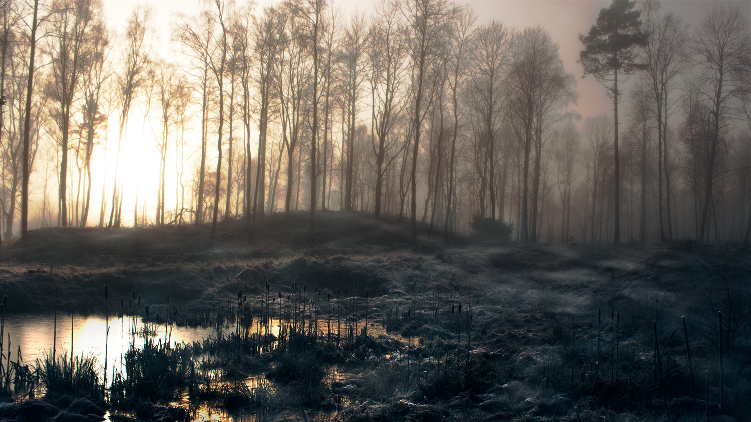 природа весной