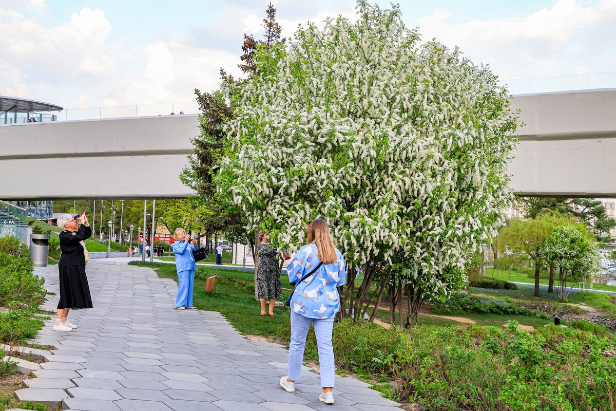 люди на отдыхе в парке в апреле