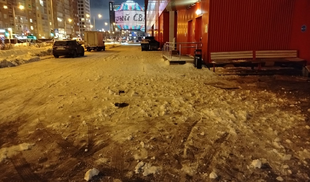 Дана Молл, происшествие