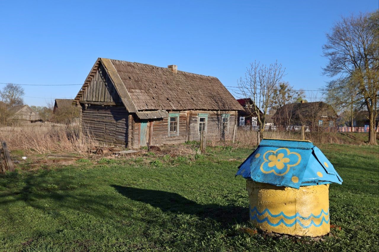 Хутка прыйдуць у нашы хаты і будуць з намі спаць”. Побывали в деревне, где  больше всего аистов в Беларуси | СмартПресс: Среда обитания