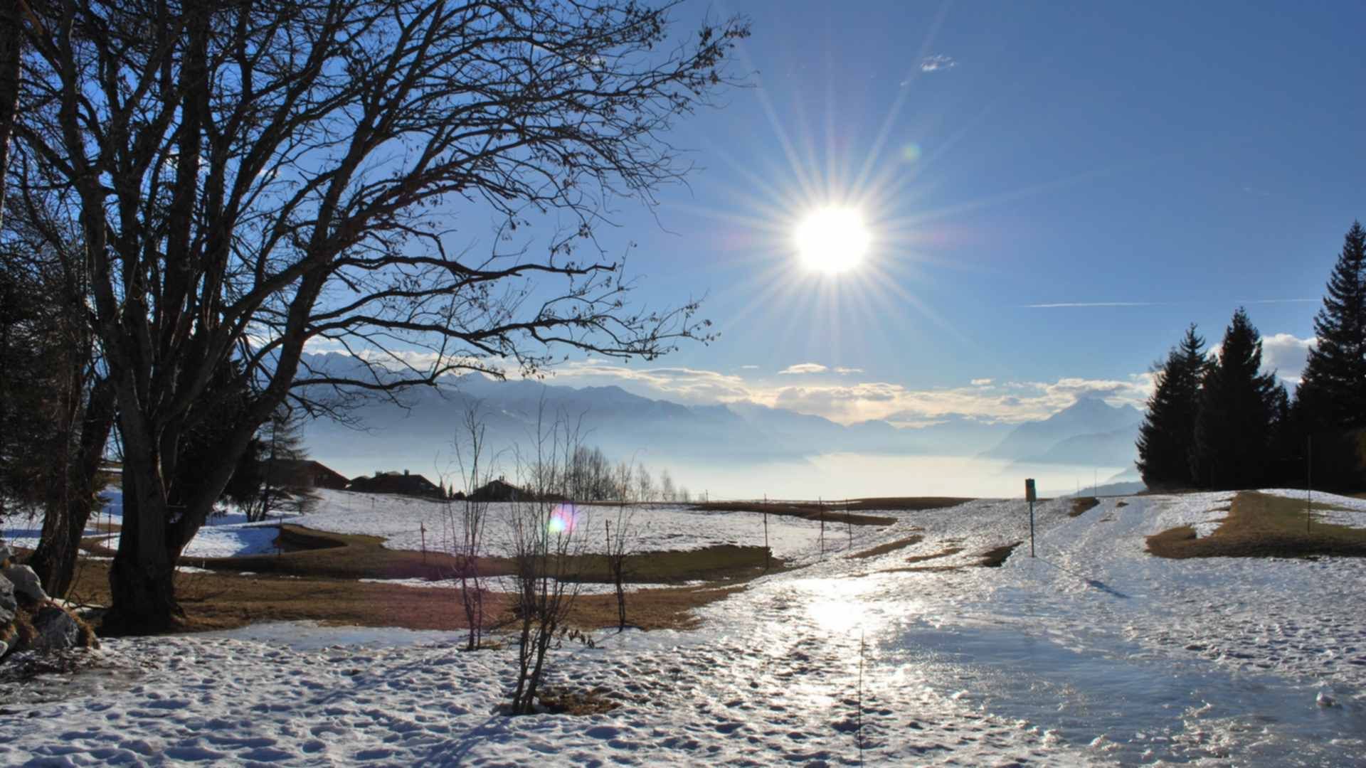 Несильное потепление зимой