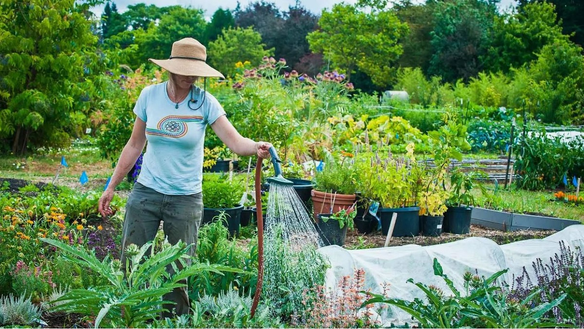 посадки в июле.jpg