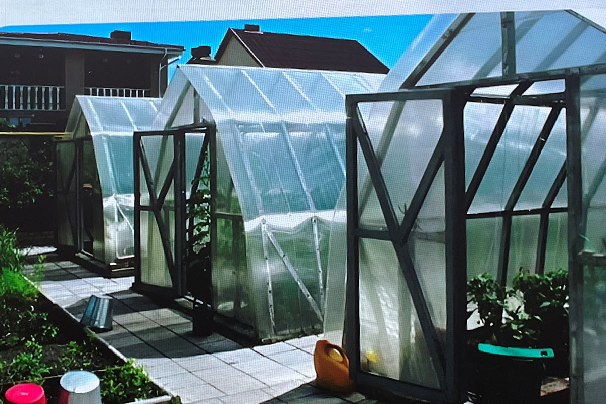 photo_2026-04-02_09-50-22 (3).jpg