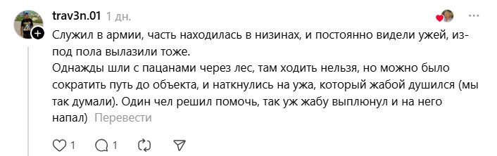 армейская байка.jpg