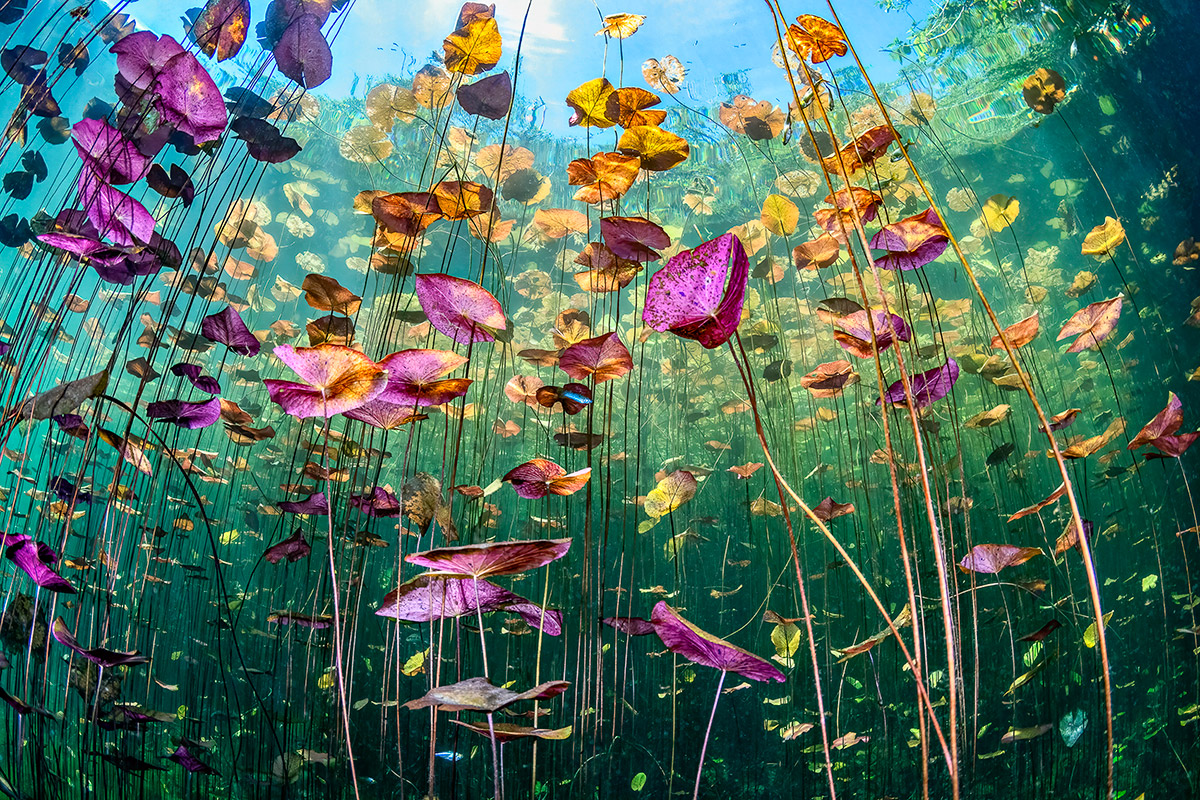 Underwater-Seascapes-1st-Place-Ysabela-Coll