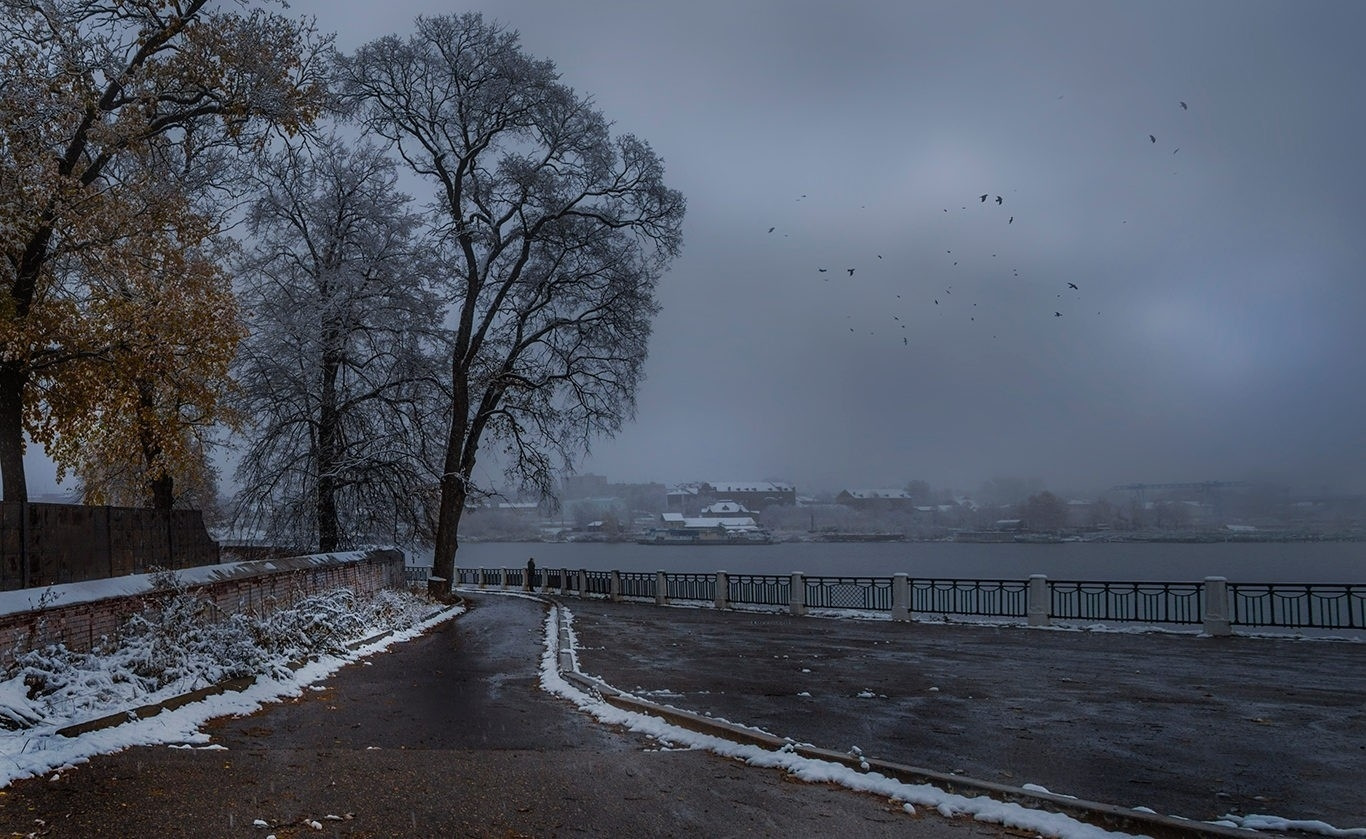 утро ноября