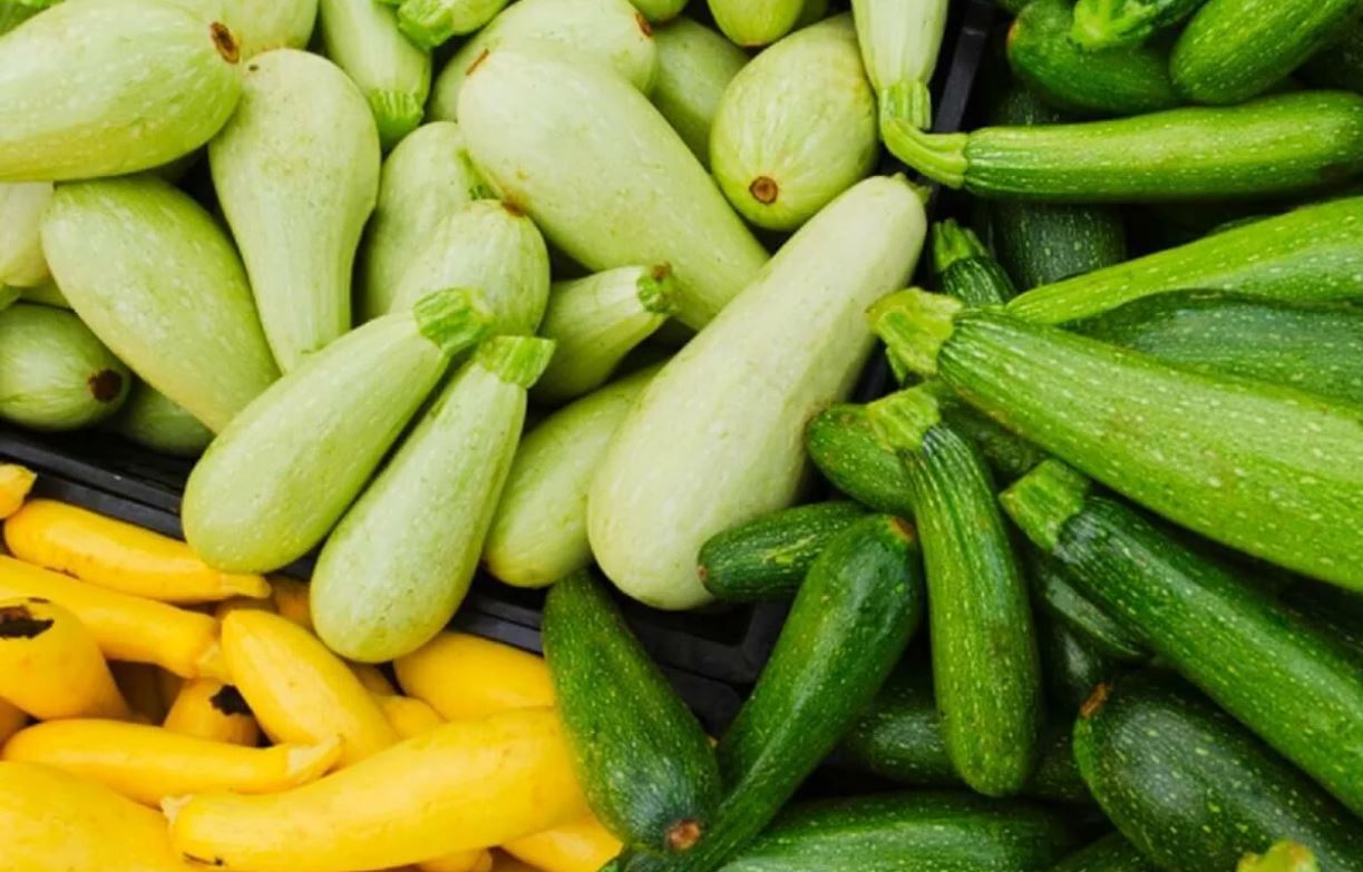 кабачки и цуккини