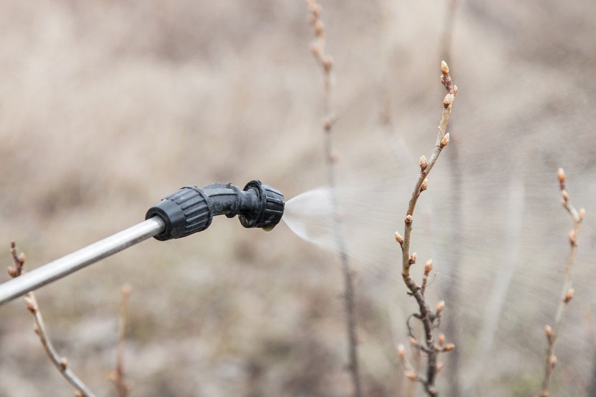 обработка сада 3.jpg