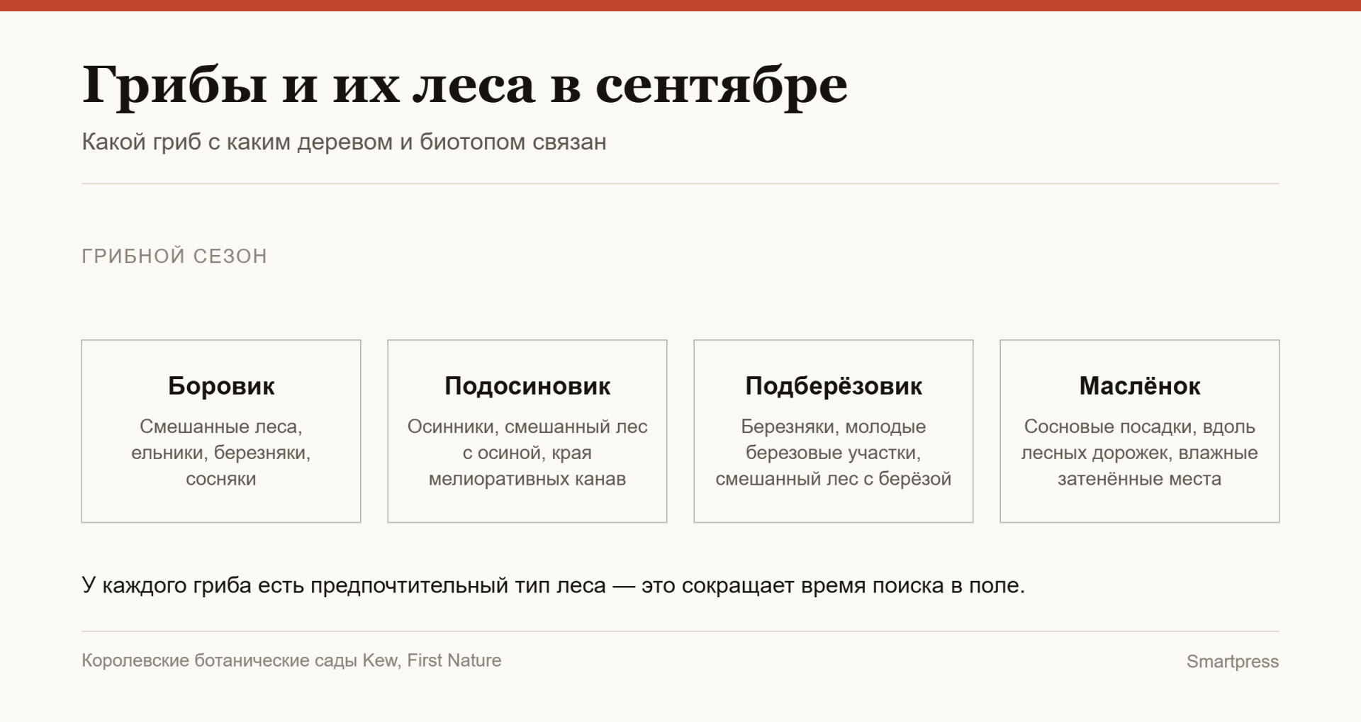 грибы и их леса в сентябре грибы и их леса в сентябре