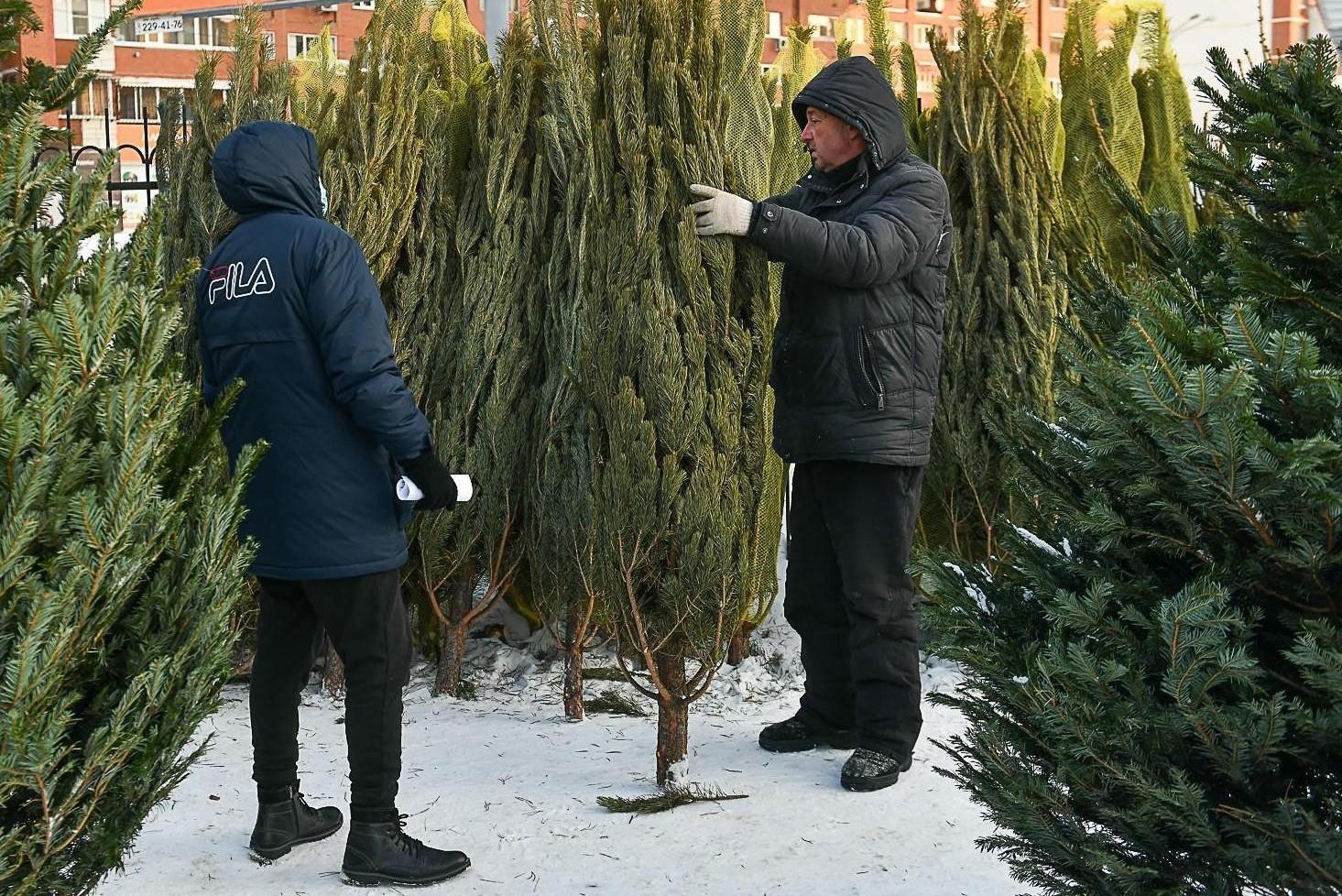 елочный базар