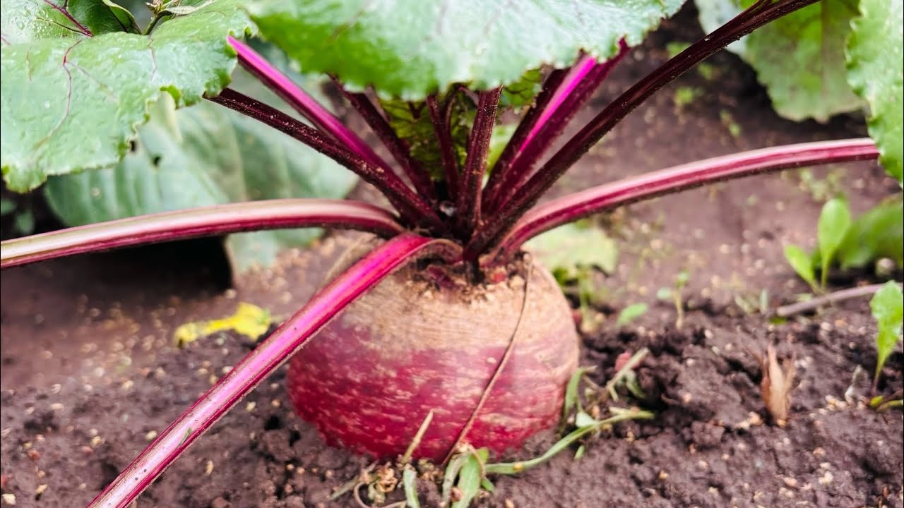 photo_2026-01-10_20-00-42 (2).jpg