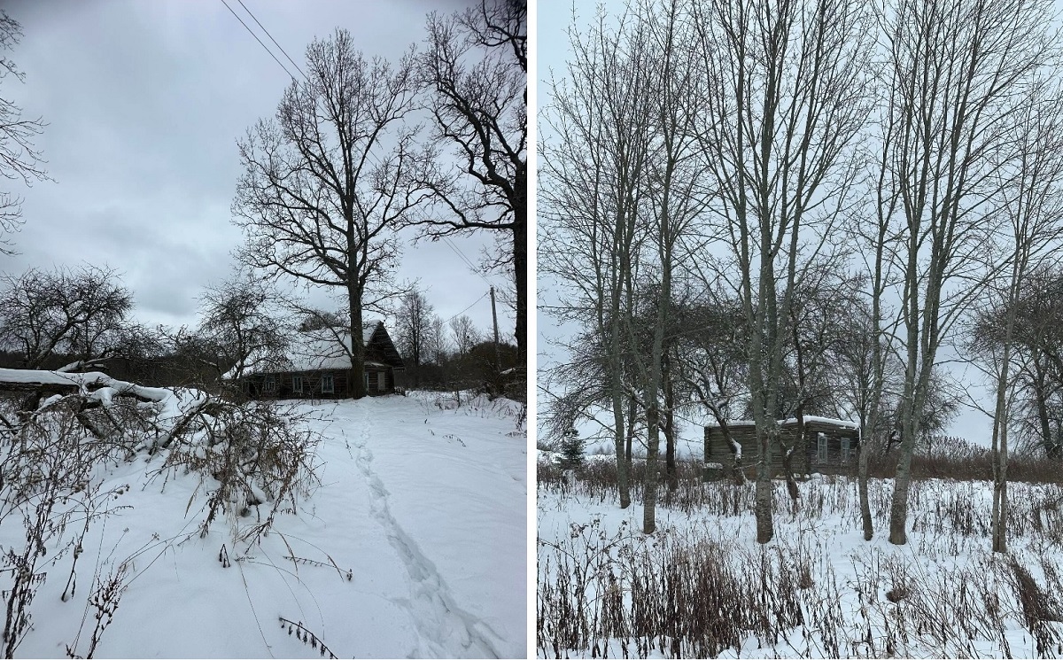 Веселуха3 Веселуха3