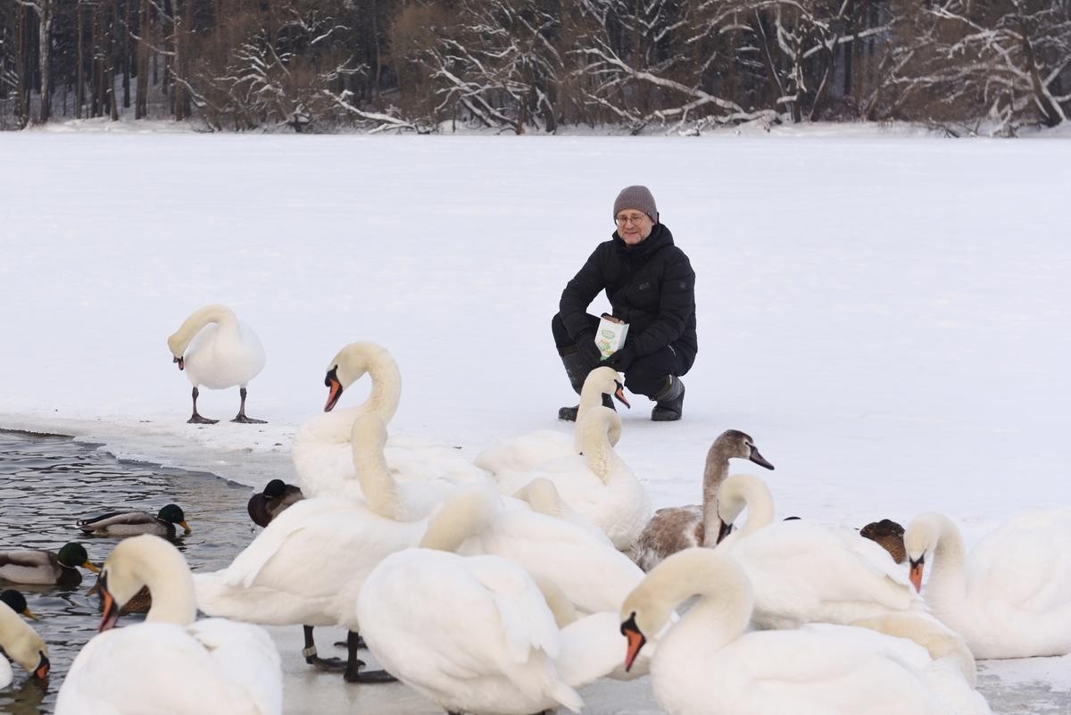 2-Анатолий Андреев и лебеди.jpg