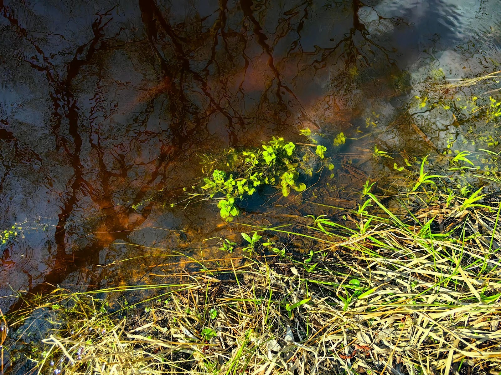 28-Сергучский канал.jpg