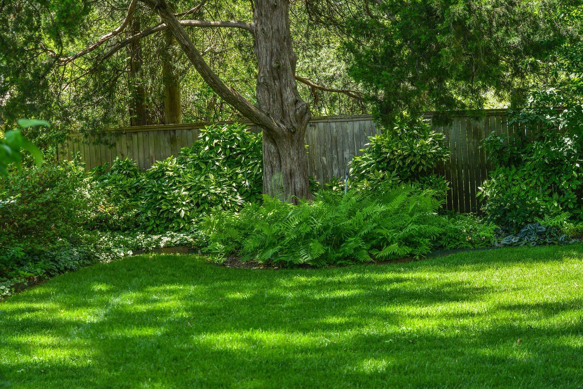 тень в саду.jpg