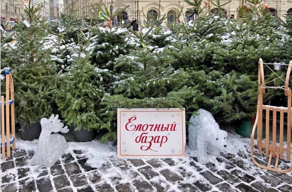 елочный базар елочный базар