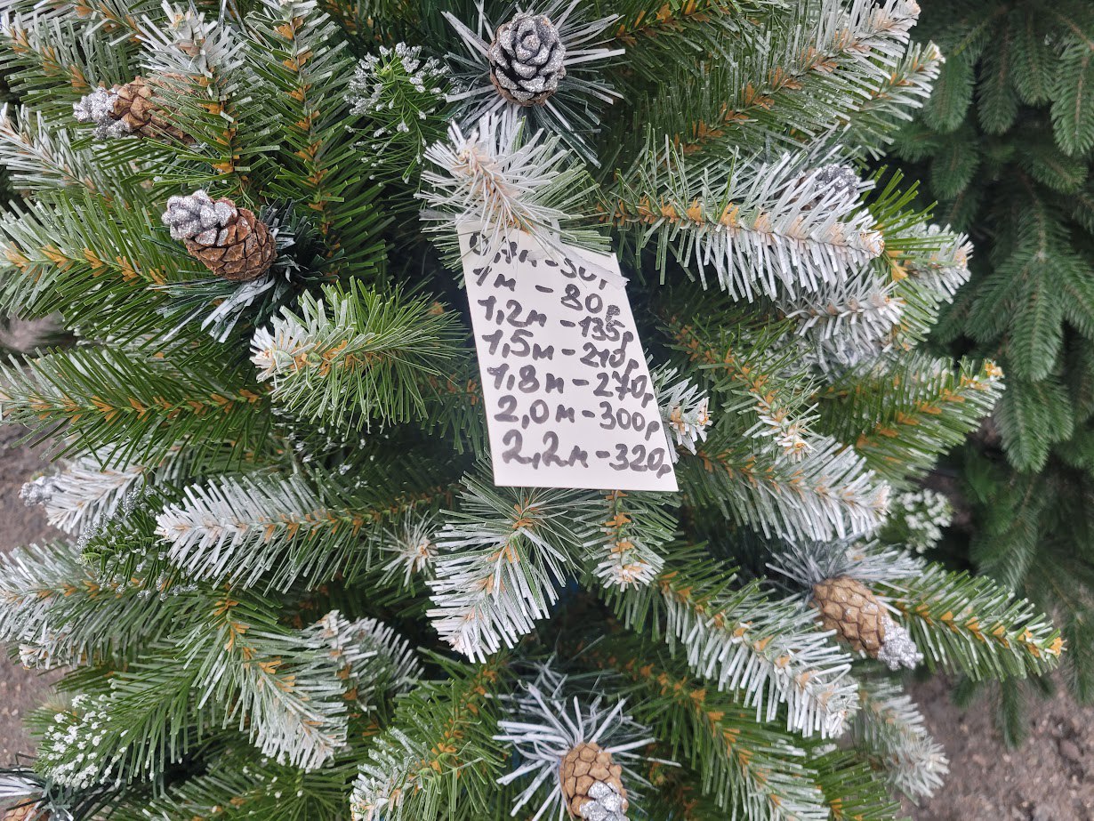 елки, комаровка елки, комаровка 1.jpg