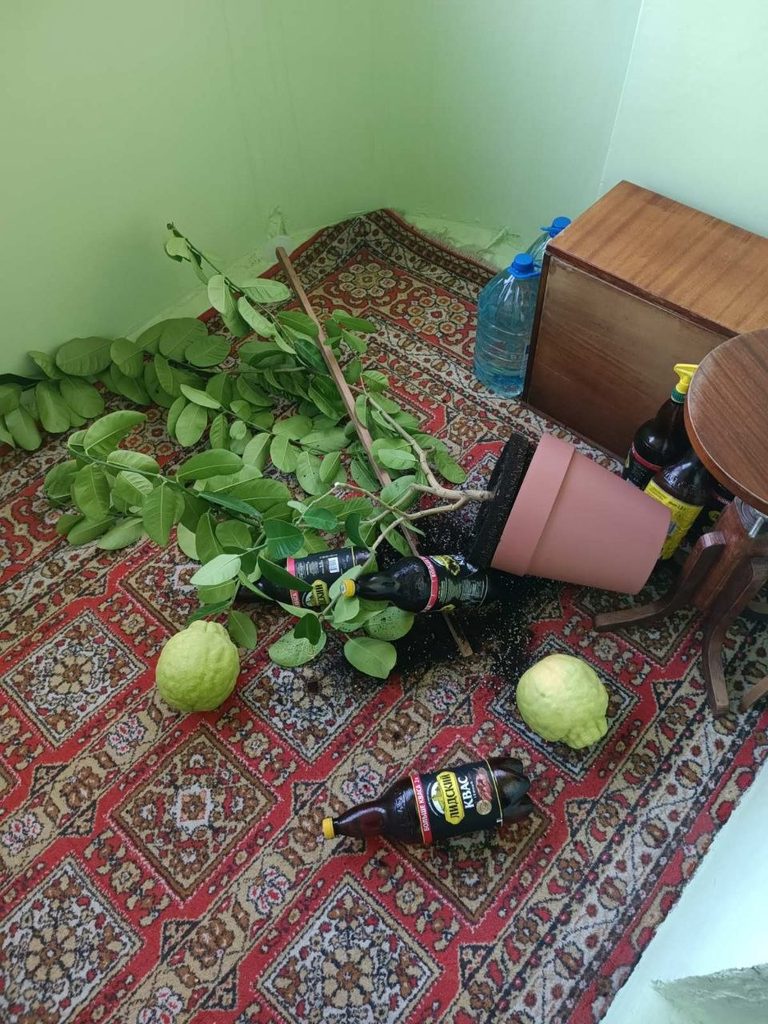 лимон упал