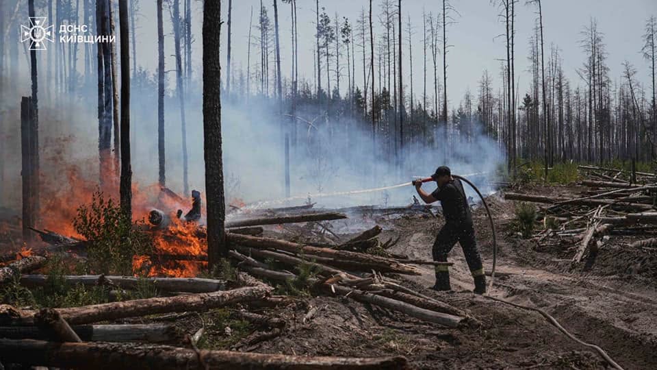 пожар, Чернобыльская зона 4.jpg