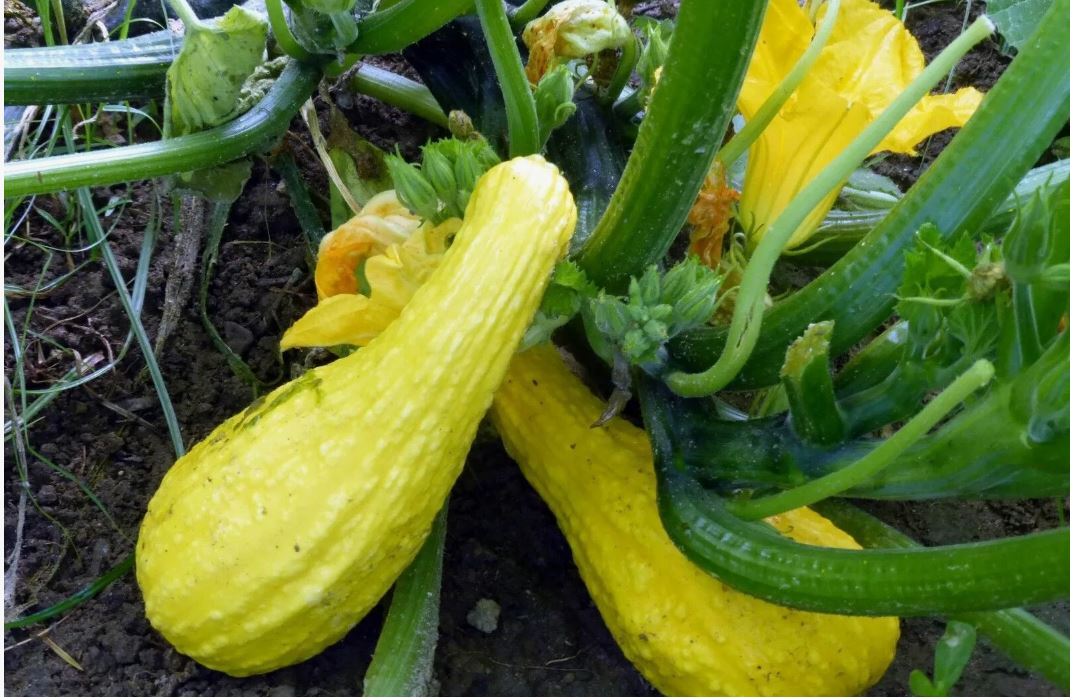 photo_2026-02-17_15-18-52 (4).jpg