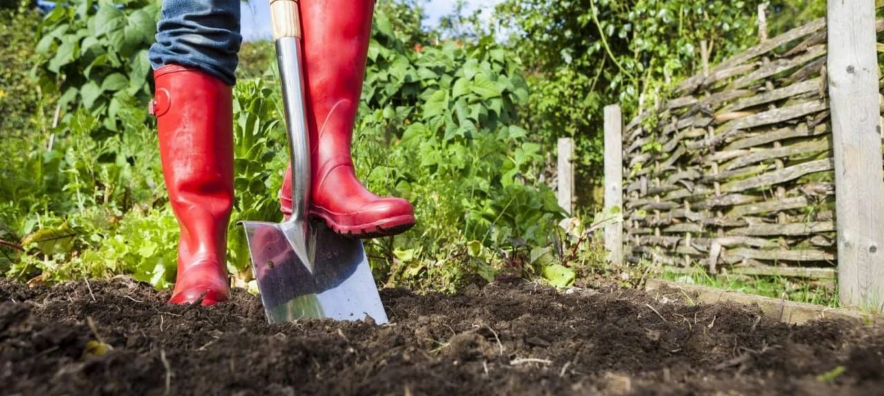 вскапываем почвку