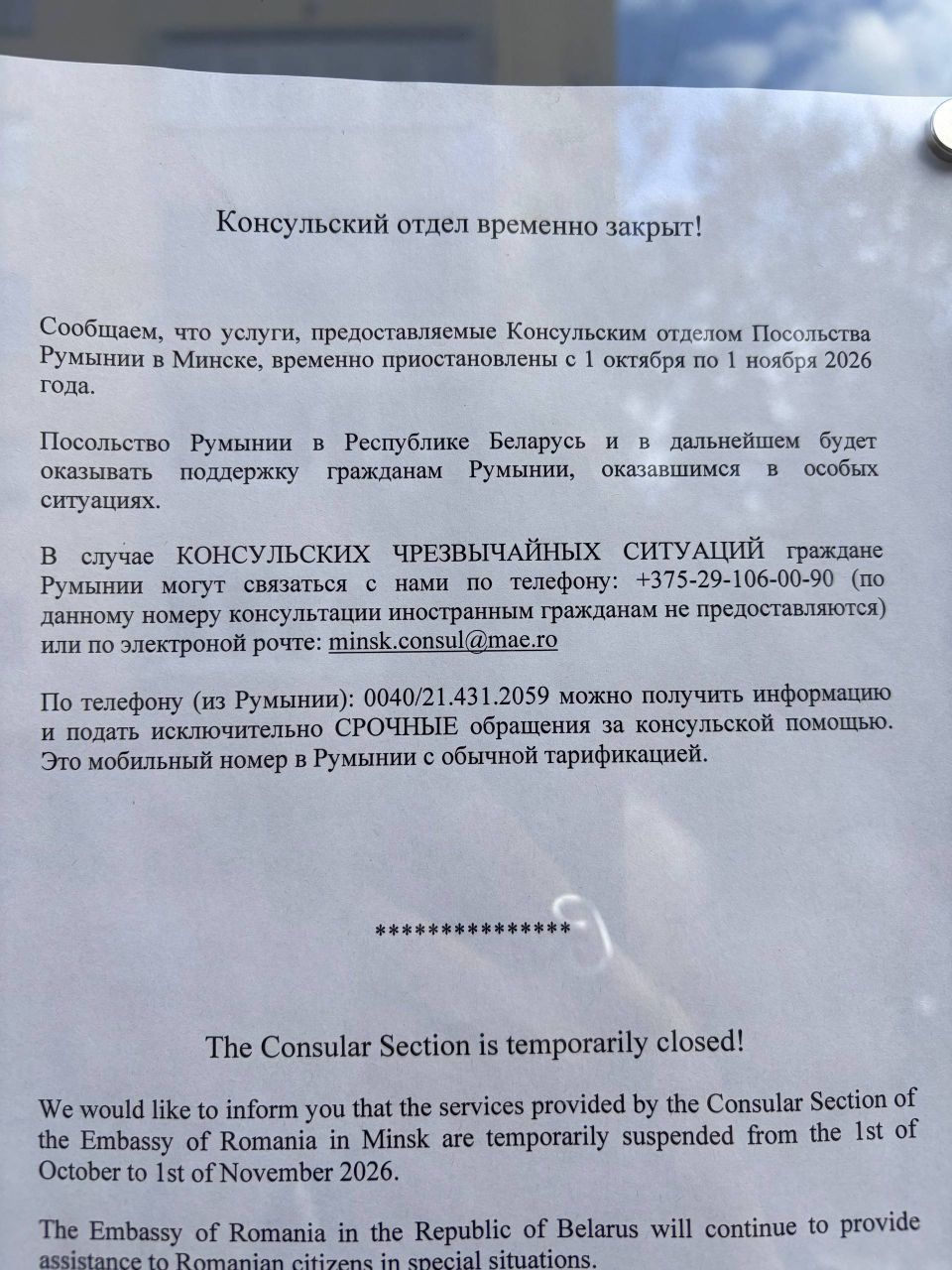крот крот