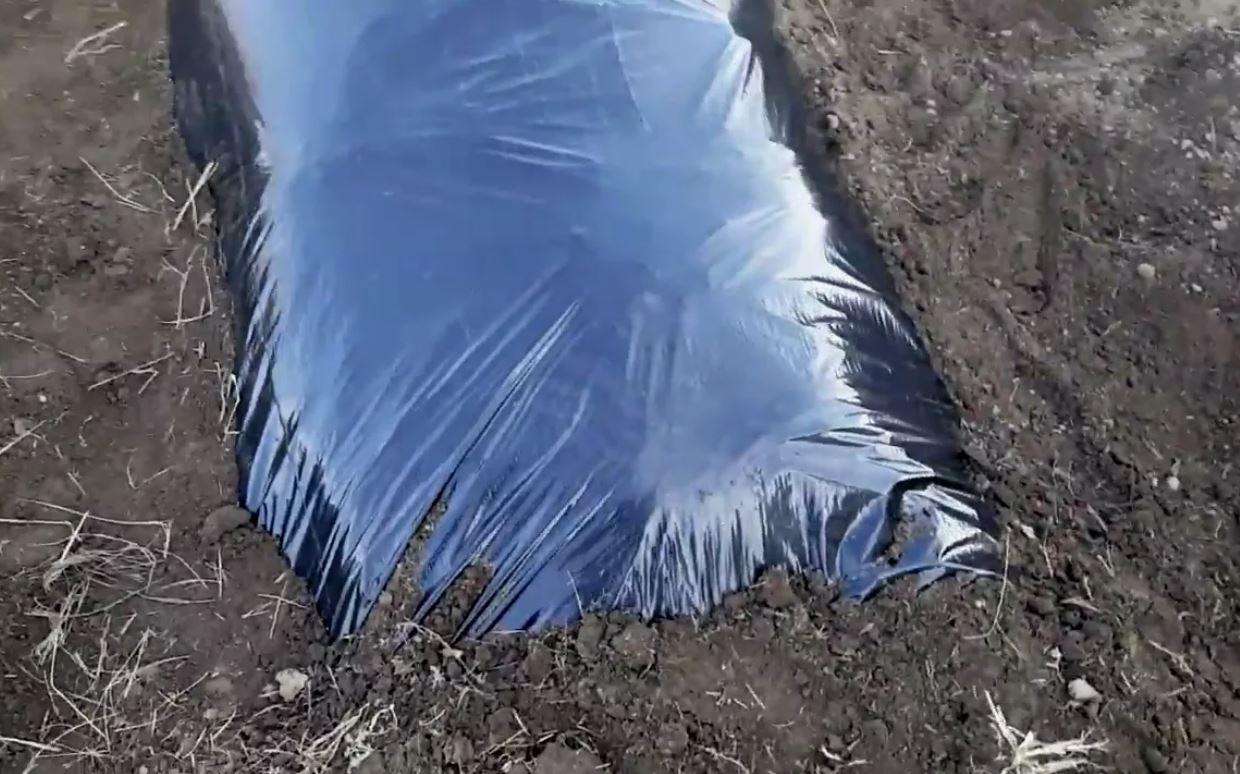 photo_2025-11-21_13-40-47 (4).jpg