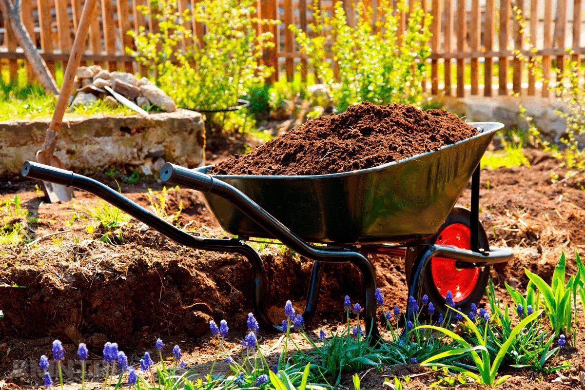 тачка с черноземом