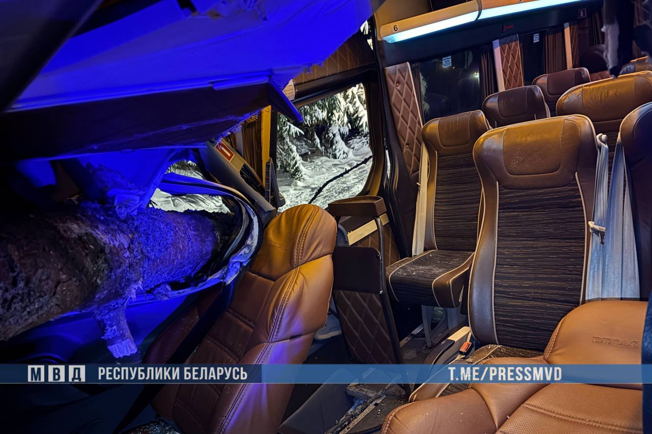 маршрутка наехала на дерево