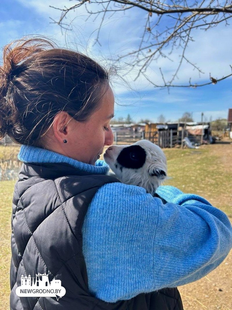 пипа пипа.jpg