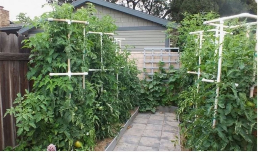 шпалеры на даче2.jpg