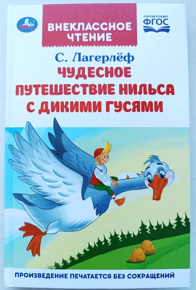 детская книга про путешествие Нильса с дикими гусями.jpg
