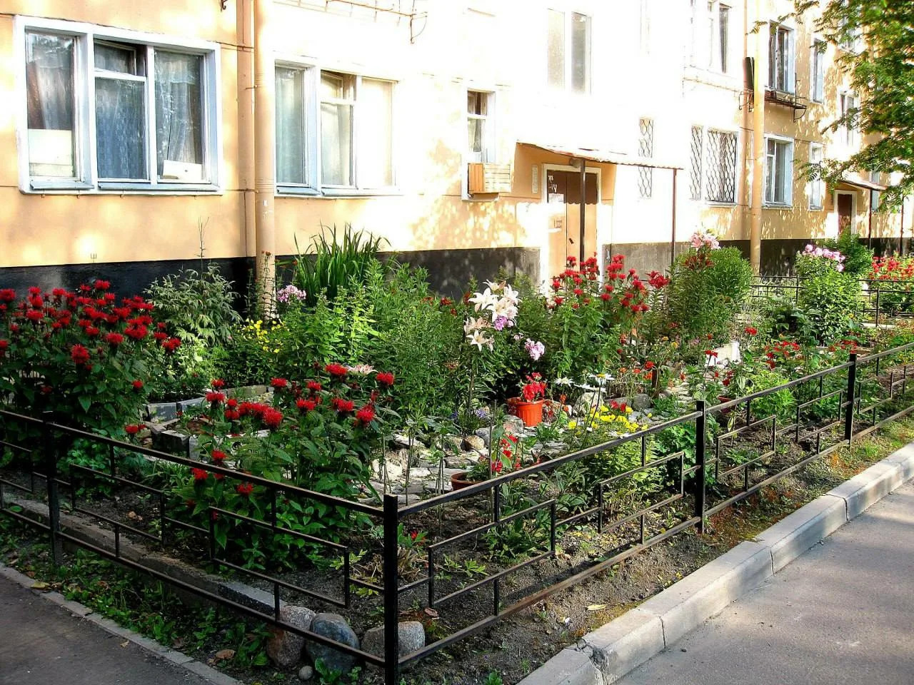 цветы на клумбе у дома цветы на клумбе у дома