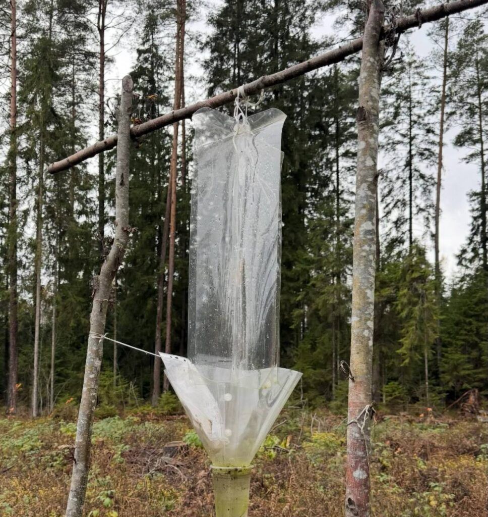 ловушка ловушка1.jpg