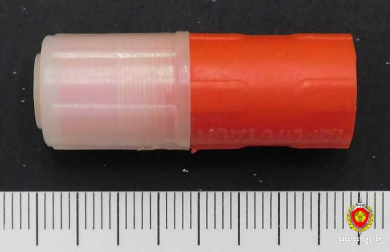 капсула капсула.jpg