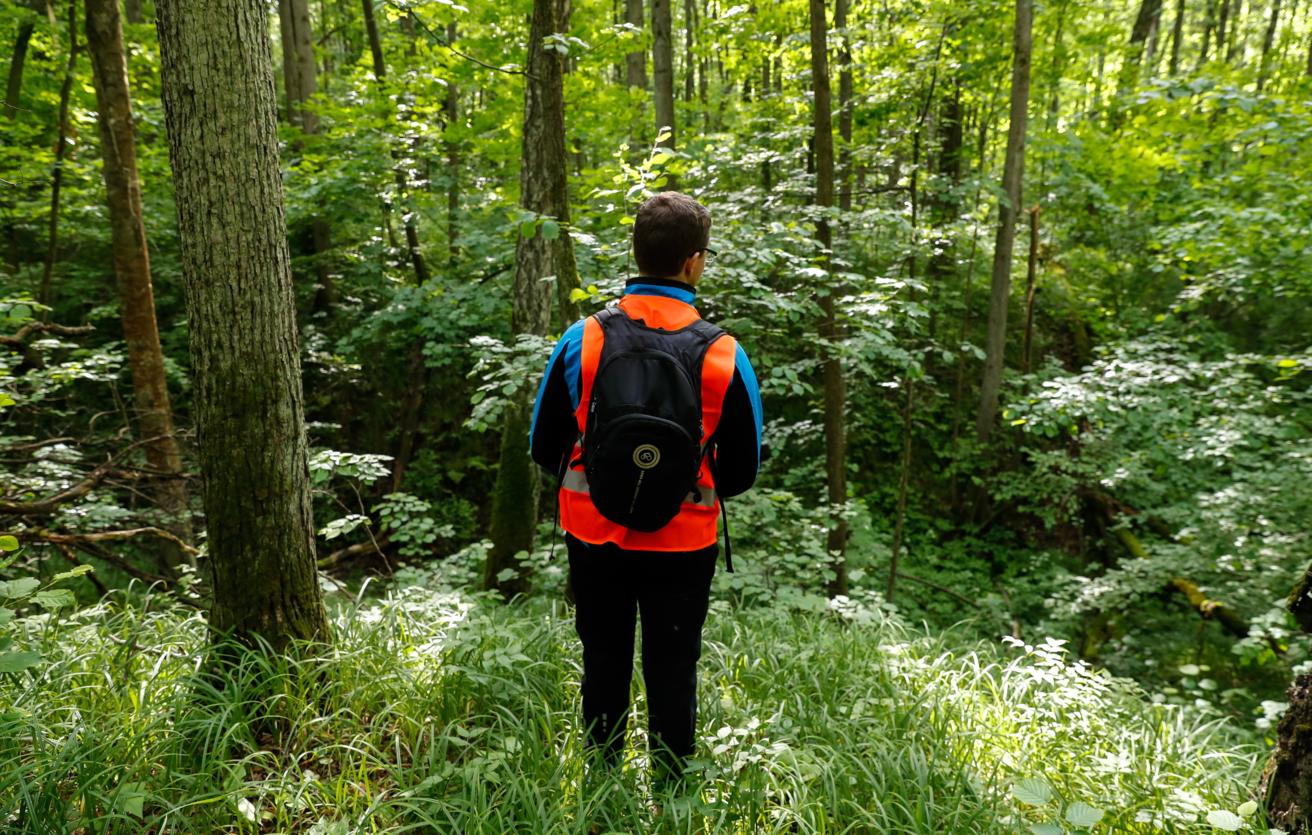 поиск пропавшего человека