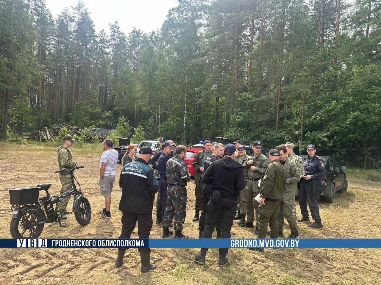 поиски грибника поиски грибника