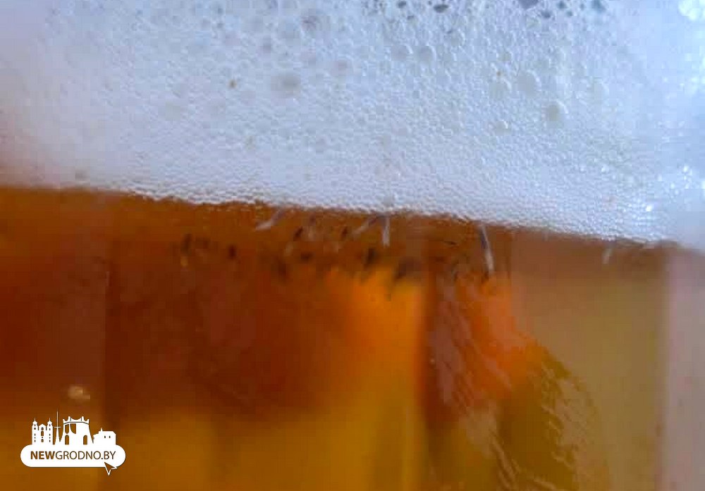 пиво с личинками.jpg